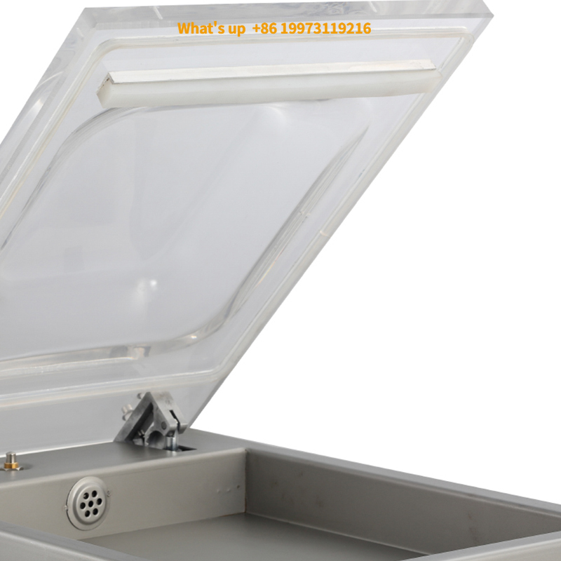 2026 DZ260 Fabrycznie Nowa, Ma – Food Storage Brands recenzja i cena